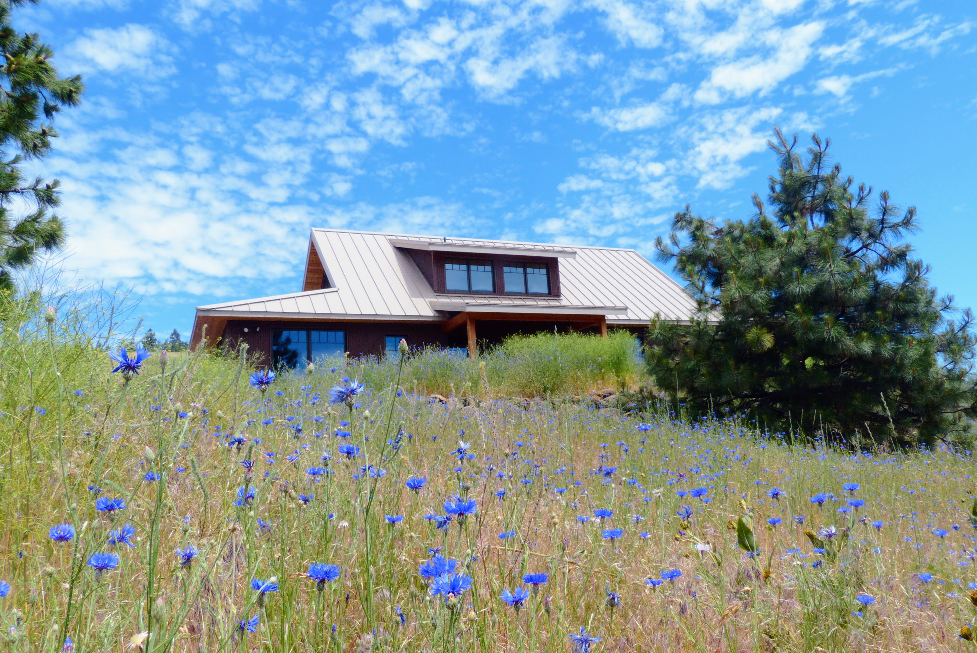 Windwood Homes